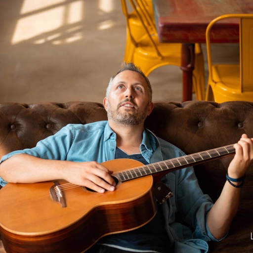Guitare Fred Goetzmann