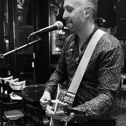 fred goetzmann guitariste chanteur alsace
